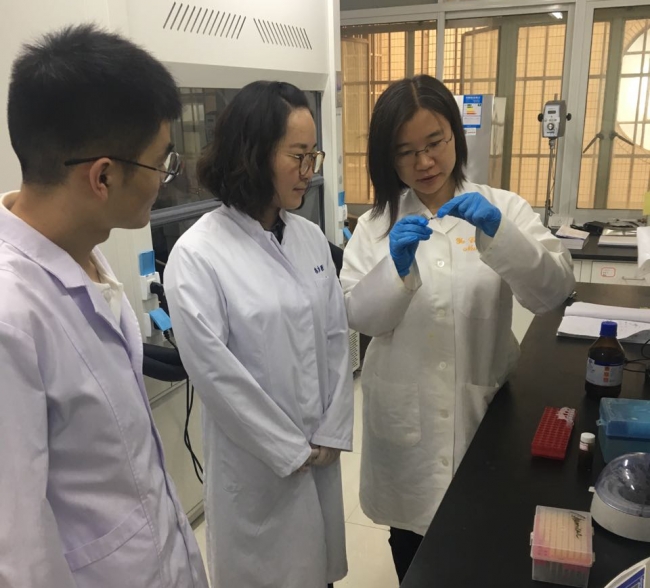 同济附属东方医院成昱课题组利用磁纳米技术治疗脑肿瘤取得突破性进展