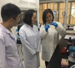 同济附属东方医院成昱课题组利用磁纳米技术治疗脑肿瘤取得突破性进展