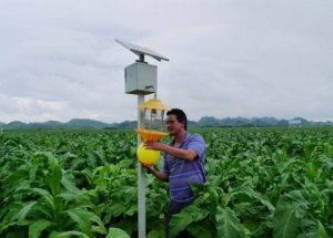 太阳能灭虫灯生物导弹天敌治虫 绿色防控那些尖板眼
