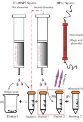 新疆理化所研发二维分子印迹固相萃取技术纯化石榴皮单宁