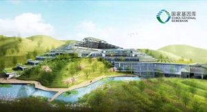 国家基因库参与人类胚胎基因编辑研究