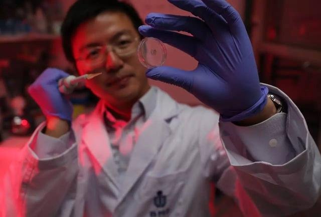 香港科技大学研发出全新智能水凝胶：在生物医疗领域应用前景看好