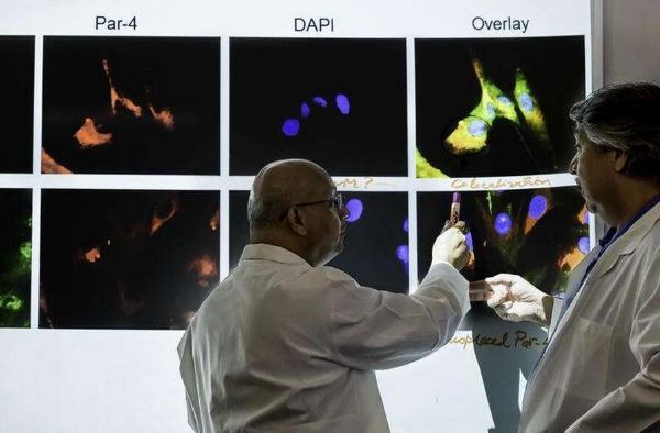 科学家有望让癌细胞来杀死癌细胞