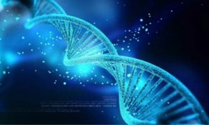 蓝鸟生物公司的基因治疗方法将首登欧洲