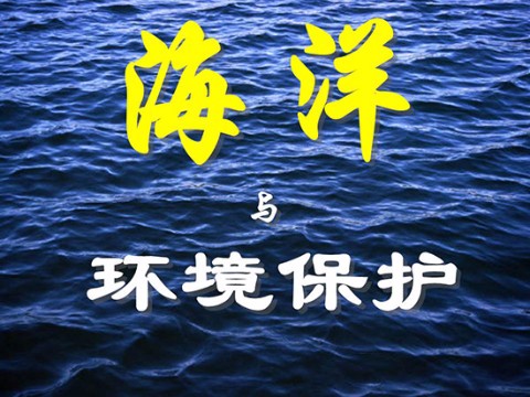 ppt4263.jpg