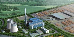 麻城开建生物质发电厂 年发电量可达2亿千瓦时