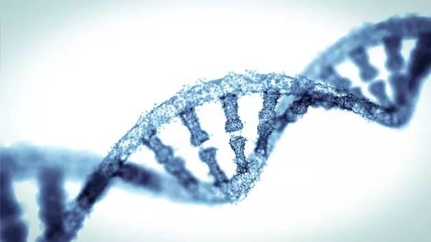 Cell：基因编辑技术给治疗渐冻人、舞蹈症带来转机