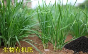 生物有机肥迎发展机遇