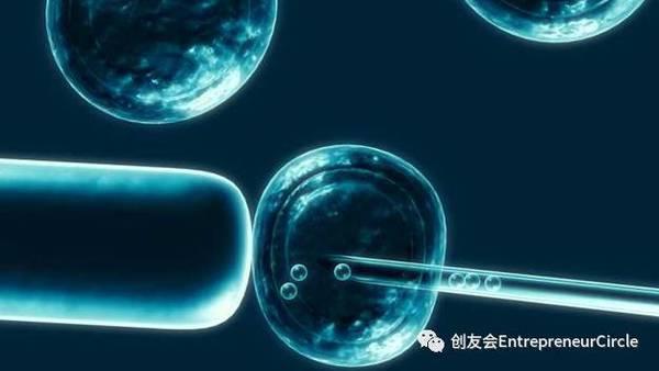 世界首个植物干细胞银行 植慧科技守护每一个生物个体