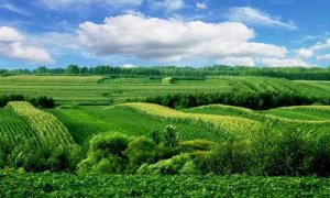 化学农业过时，生物农业成新宠，连天天被骂的孟山都也变了