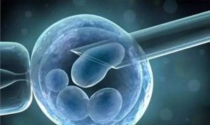 流水线上的科学：生物医学研究是否已经成为一门生意？