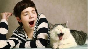 Cell子刊：打哈欠为什么会传染？