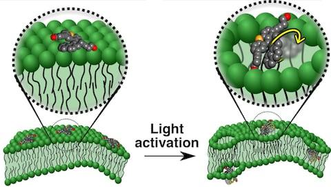 纳米技术立大功，科学家开发出纳米机器人可以在60秒内杀死癌细胞