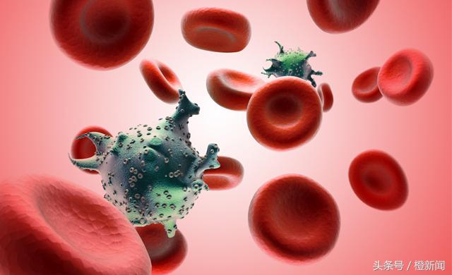“种牛痘”抗爱滋？美研究：牛抗体可杀HIV！