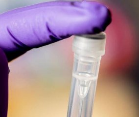 美研究人员实现以生物手段让电脑感染病毒