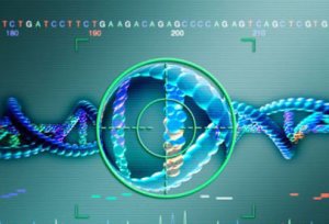 科研人员提出纳米催化医学肿瘤治疗新策略