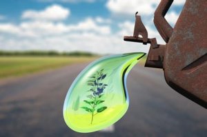 日本启动首个设施 让微生物分解垃圾变废为宝