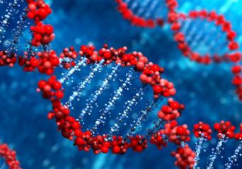 “Dark DNA”改变我们对基因组进化的思考