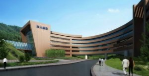 近期股价涨幅较大 华大基因午后停牌核查 市值逼近700亿