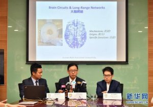 香港大学科研团队揭示大脑海马体新功能