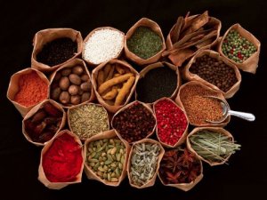 中医药期待借力信息技术