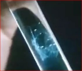 转基因生物制药是投资靶向吗？