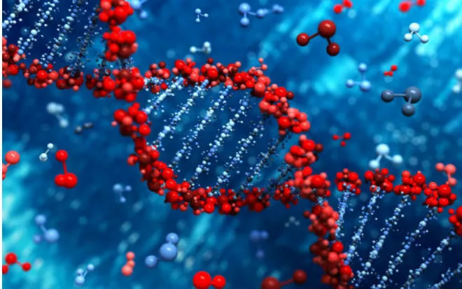 第一次！科学家们证实，控制染色质有望解决癌症耐药性难题