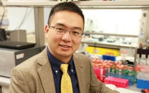 华人科学家顾臻又出新成果啦！这次是“癌症免疫疗法贴片”