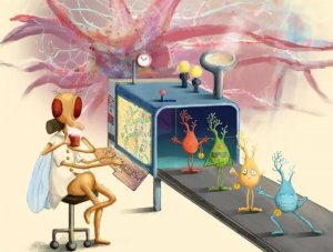 斯坦福骆利群课题组Cell新成果：单细胞RNA测序为果蝇神经元分类