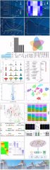 生物信息作图系列 - R、网络图及文章图形排版