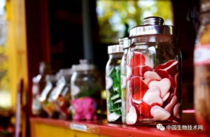 50年前隐瞒了什么？糖对健康影响的研究结果
