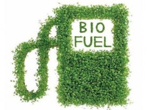 奇特的生物燃料：咖啡渣、威士忌和粪便的环保新用途