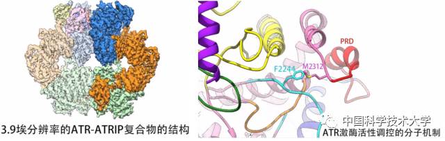 微信图片_20171201150302.jpg
