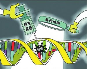 领星生物宣布完成A轮融资
