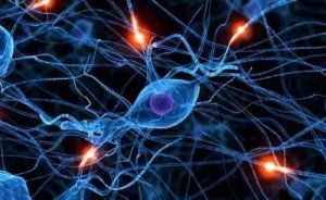人脑就是现成的量子计算机，未来人人可以共享自己的“闲置脑力”