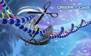 基因组编辑市场五年后有望达到62.8亿美元