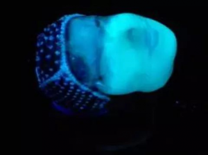 3D生物打印新突破：细菌墨水可打印任何三维结构