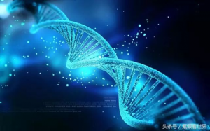 富贵天注定？科学研究发现真有“富贵基因”！