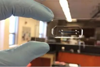 Small：科学家成功利用细菌携带癌症药物直接抵达肿瘤位点发挥作用！