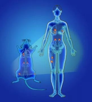 新成果！Nature子刊：“发光”的纳米颗粒“追踪”癌转移