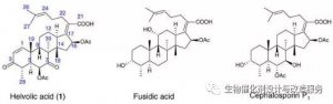 暨南大学姚新生团队：发现不同于甾体生物合成的C-4去甲基反应