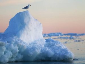 <b>最新研究表明 一些极端天气事件只能归咎人类</b>