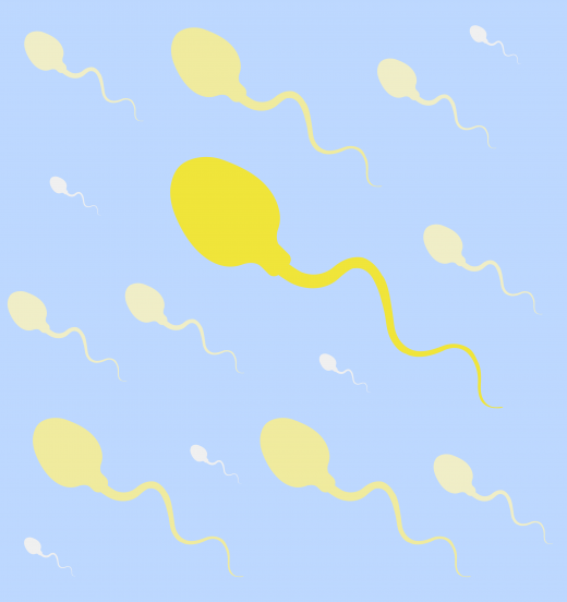 201712251514168257326.png fa0d112d207318f3d49dd12b5b7b442f.png