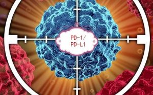 中国PD-1药物上市第一梯队！信达、恒瑞、百济等实力如何？
