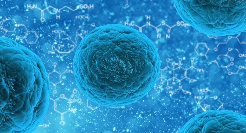 干细胞新用途！科学家找到肌肉再生的方法