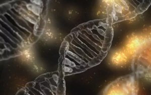 DNA 不仅能形成“双螺旋”，还会产生“四螺旋”结构