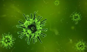 2017年度巨献：肠道微生物组重磅级研究TOP20解读