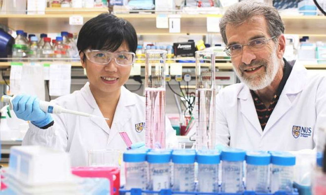 肝癌治疗新思路：以蛋白之间的相互作用为靶标