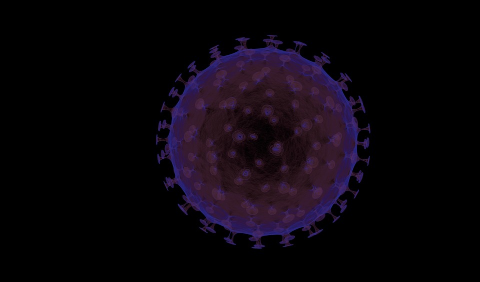 Nature子刊：逆转缺失免疫T细胞可对抗致命脑瘤