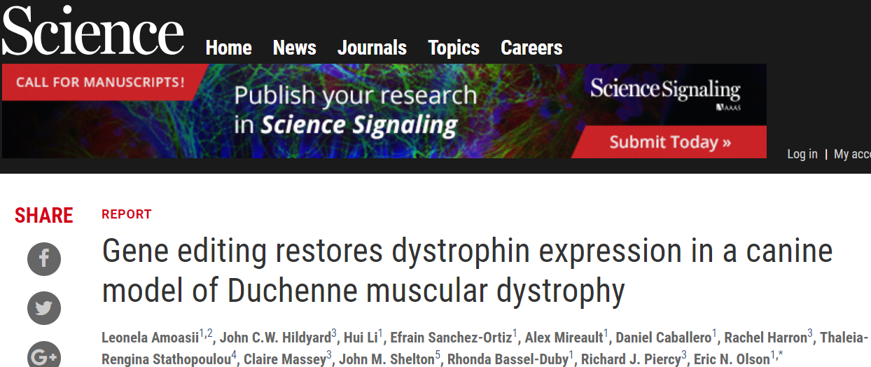 Science重磅！ CRISPR治疗大型哺乳动物肌萎缩，首次取得突破进展